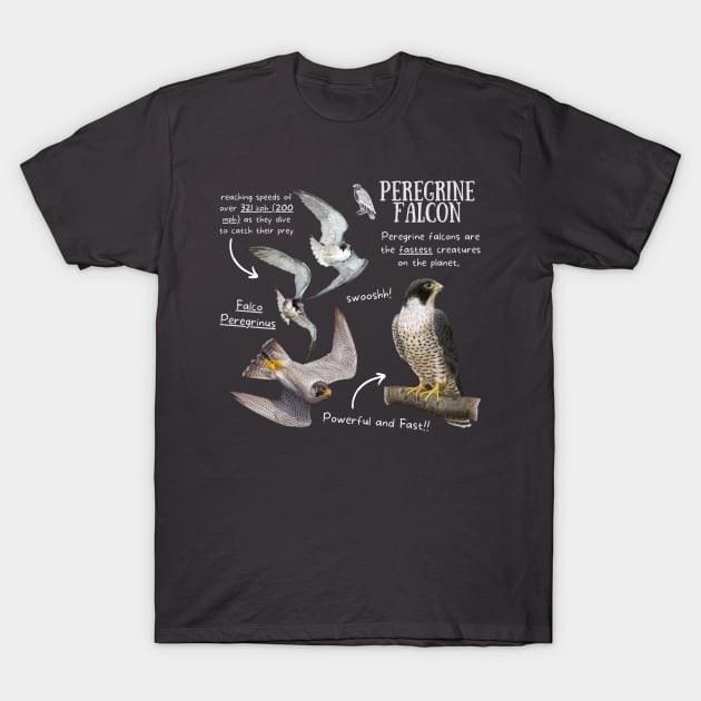 Animal facts - Peregrine Falcon T-Shirt by Animal Facts and Trivias